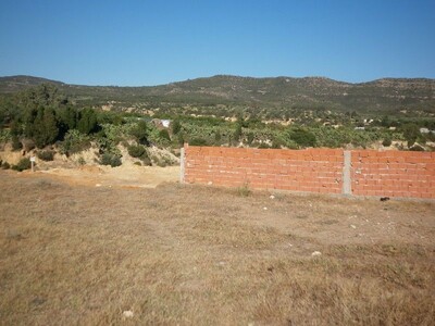 Terrain de compagne a 10 min de Hammamet