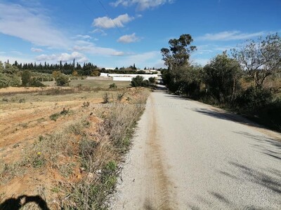 Terrain Bir Choba Hammamet Mango Immo