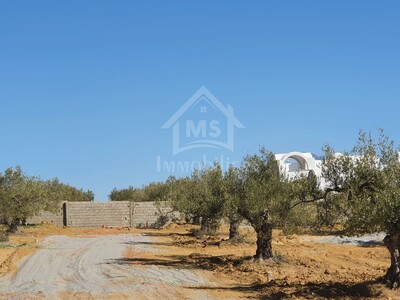 Lots de terrain constructibles à vendre à Hammamet Sud