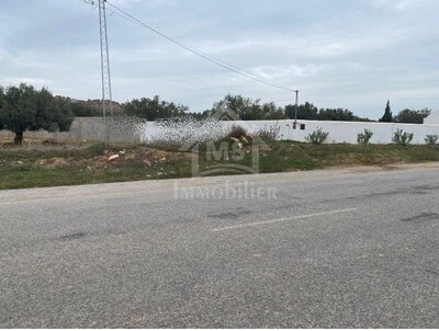 Terrain de 1000 m² à Hammamet Sud à vendre à 160 MD
