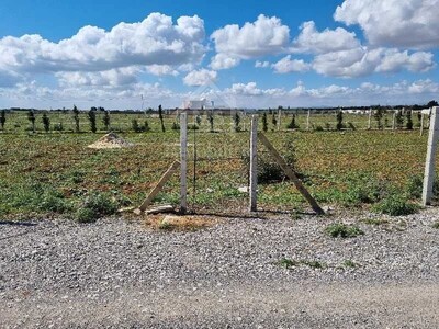 Terrain clôturé de 1000 m² à vendre à 110 MD à Hammamet Sud