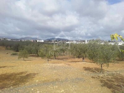 Terrain à vendre à Sidi Hammed à 110 MD