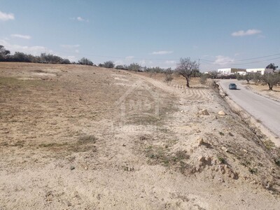 Terrain de 2800 m² à vendre à Hammamet Sud