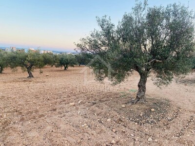 Terrain de 4018 m² à vendre à Hammamet Sud