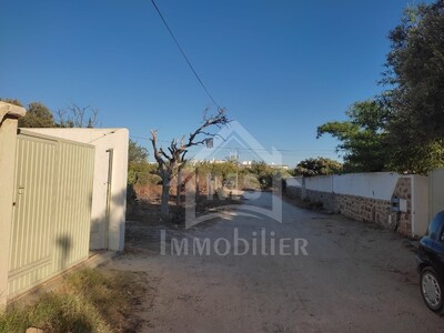 Terrain de 480 m² à vendre à 300 MD à Hammamet zone théâtre