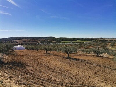 Terrain Latrach Mango Hammamet