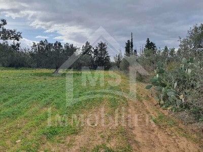 Terrain de 5042 m² à vendre à Hammamet Sud