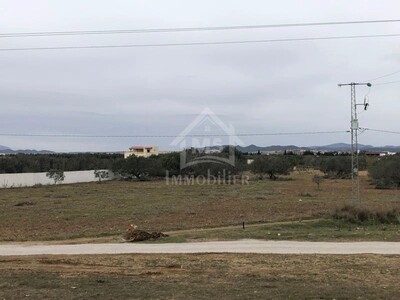 Terrain de 1 hectare à vendre à Hammamet Sud à 280 MD