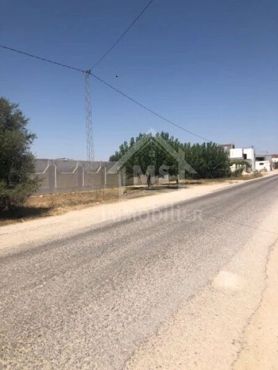 Des lots de terrains clôturés de 1000 m² à Hammamet Sud à vendre
