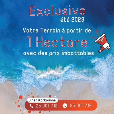 1 Hectare vue sur mer
