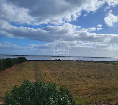 Terrain de 3333 m² pieds dans l'eau à korba à vendre à 430 MD