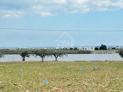 2 lot de terrains vue de mer à vendre à Sidi Mtir