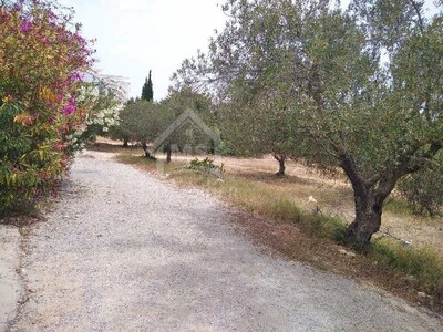 Terrain viabilisé de 200 m² à Hammamet Nord à vendre