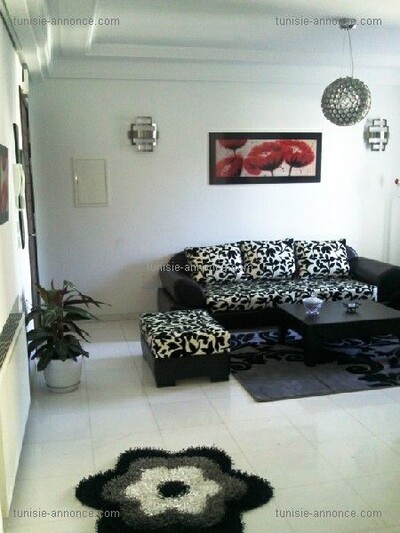 Apartment richly furnished and luxurious