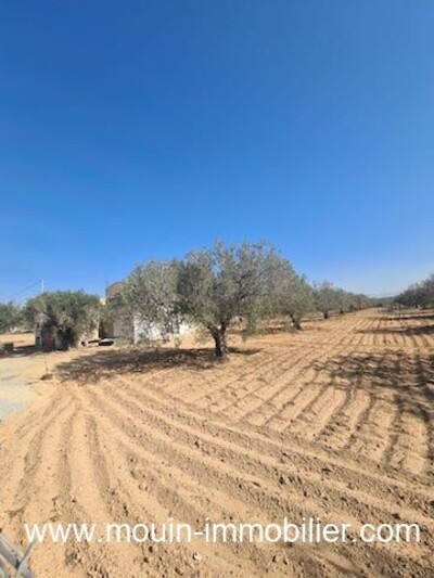 TERRAIN IRAM AV El Bessbassia Hammamet Sud II
