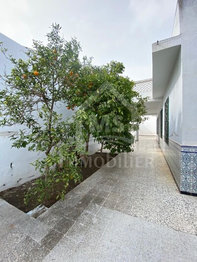 Maison arabe S+3 à vendre à Nabeul