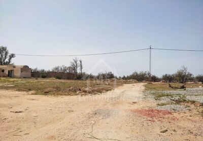 Terrain de 505 m² à vendre à Hammamet Sud