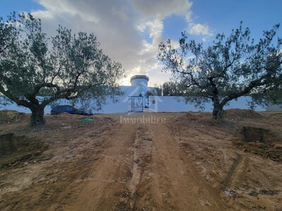 Terrain de 2105 m² à Sidi Jedidi à vendre à 135 MD
