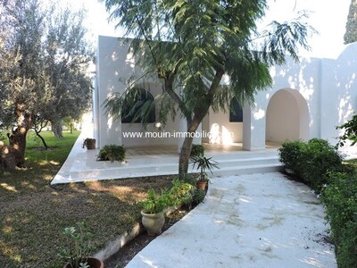 Dar Olivo OVO AL à Hammamet