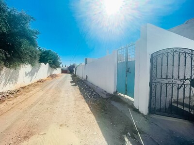 99436015 Maison à Hammamet