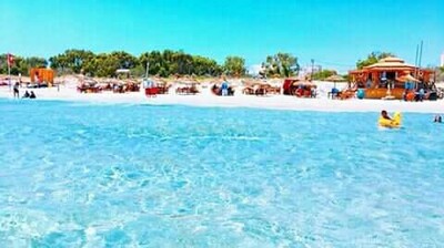 votre terrain à coté de la plage Hammam El Ghezaz