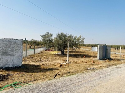 Terrain de 600 m² à Hammamet