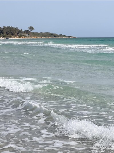 1 hectare au bord de la mer ezzahra