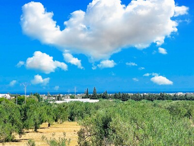 445 m² à 5 minute de jinan Hammamet