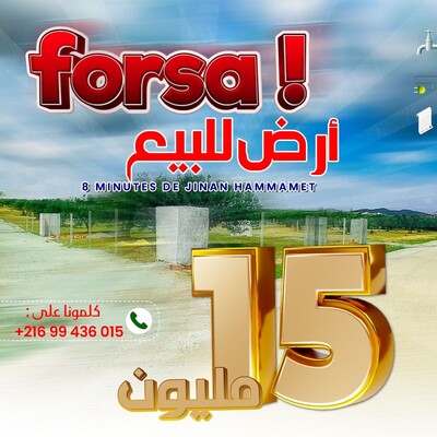 الفرصة مش كل يوم تجيك