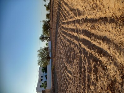 terrain a vendre 2500 m² sidi jmour djerba