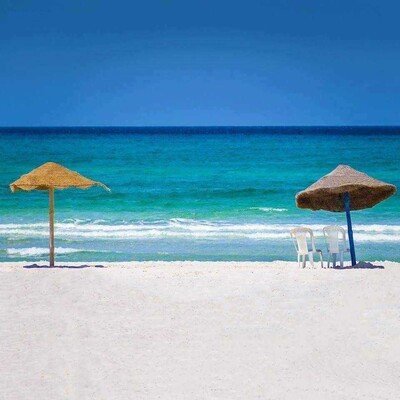 Un terrain de 5000 m² pour les investisseurs