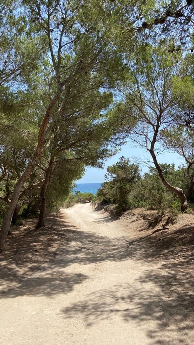Un terrain paradisiaque avec façade sur mer