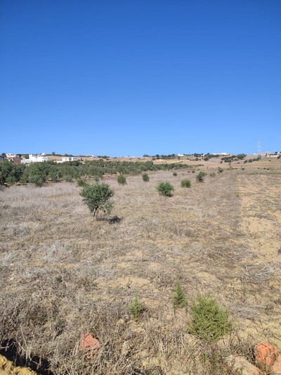 un terrain à hammem el ghazez
