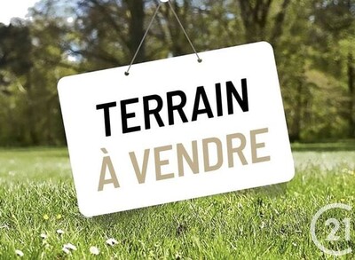 Terrain OLFA AFH MREZKA