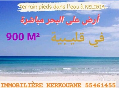 terrain à vendre pieds dans l'eau à kélibia