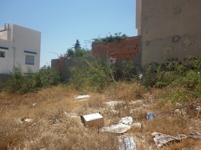 Field Raboi Hammamet
