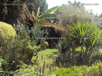 Villa of charm in el kantaoui