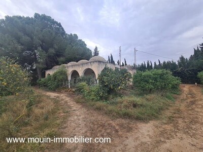 Ferme Beni Khalled AV Nabeul