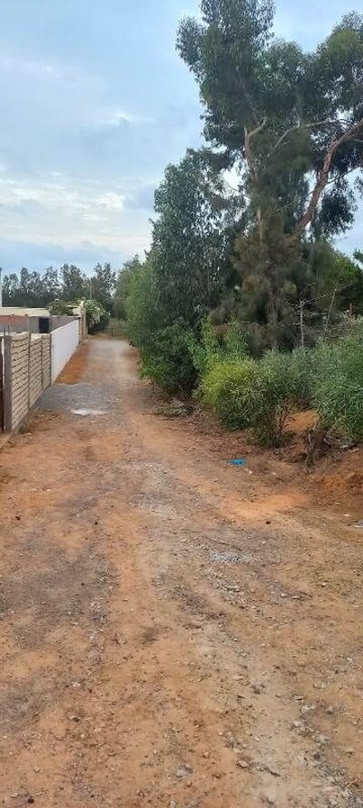 Terrain BORA BIR BOUREGBA
