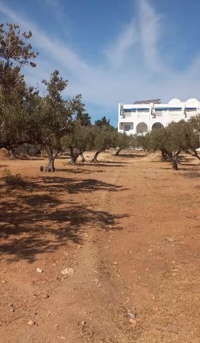 Terrain RADISSON HAMMAMET