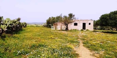 Ferme CAMOMILLE BENI KHALLED BONNE AFFAIRE