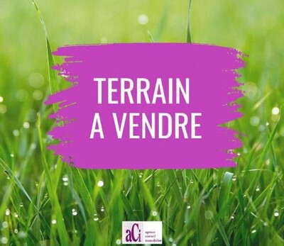 Terrain KING A SIDI HAMMED