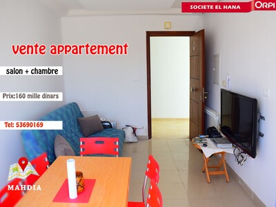 A Vendre Appartement S+1