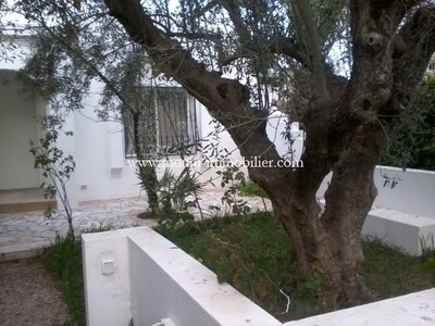 Dar brown hammamet avenue moncef bey