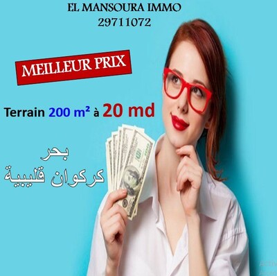 la surprise de ramadane: des terrains a kerkouanekélibia a vendr