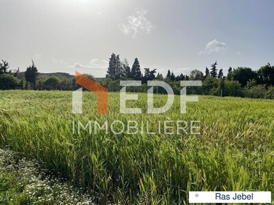 Réf 3436: grand lot A Vendre à Ras Jebel