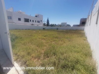 TERRAIN SYLVIA Hammamet Route Ceinture II