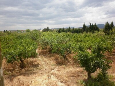 A ne pas rater terrain 3500 m a borj hfaidh hammamet