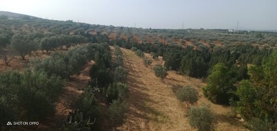 AV villa avec un terrain spacieux dans le quartier nabeul