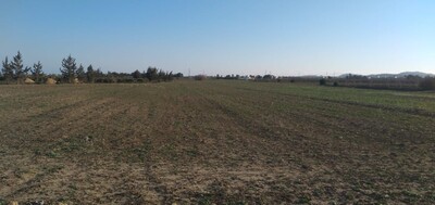 AV terrain 03 hectare sur la route goudronnée dans la zoneboufich